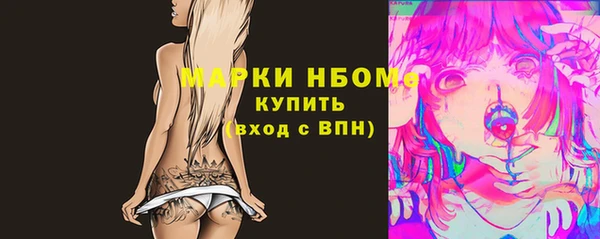 хмурый Алзамай