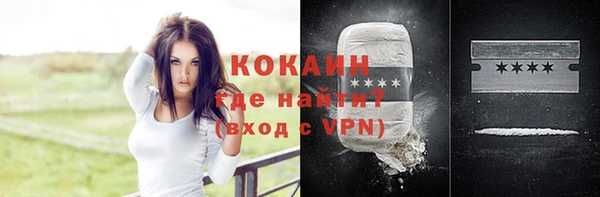 мяу мяу мука Аркадак