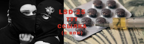 хмурый Алзамай
