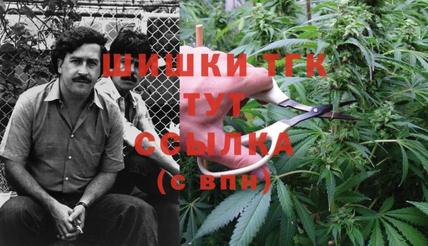гашик Алексеевка