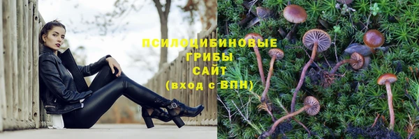 марки nbome Алексин